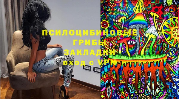 стафф Бородино